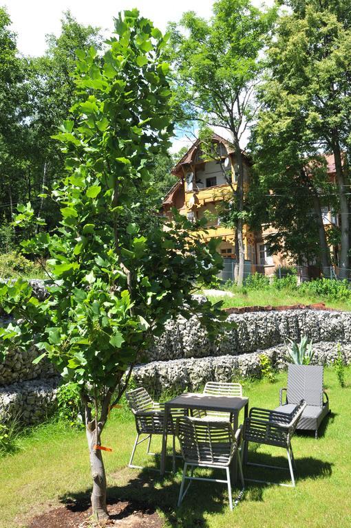 Boutique Hotel Sudetia - Medical & Spa Świeradów-Zdrój 外观 照片