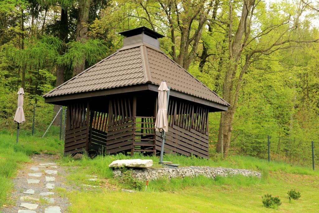 Boutique Hotel Sudetia - Medical & Spa Świeradów-Zdrój 外观 照片